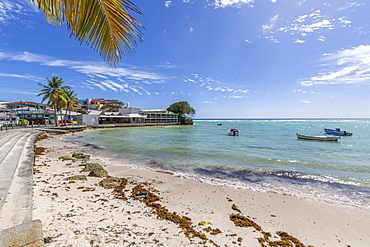 View of beach at St. Lawrence Gap, Barbados, West Indies, Caribbean, Central America