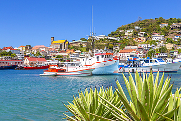 View over the Carenage of St. George's, Grenada, Windward Islands, West Indies, Caribbean, Central America