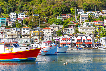 Colourful boats and houses on the Carenage of St. George's, Grenada, Windward Islands, West Indies, Caribbean, Central America