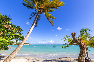 La Datcha Beach, Pointe-a-Pitre, Guadeloupe, French Antilles, West Indies, Caribbean, Central America