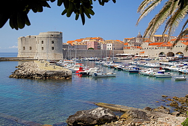 Harbour. Old Town, UNESCO World Heritage Site, Dubrovnik, Dalmatia, Croatia, Europe