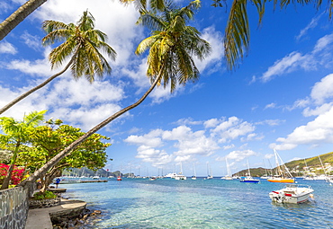 Sailing boats anchoring in Port Elizabeth, Admiralty Bay, Bequia, The Grenadines, St. Vincent and the Grenadines, Windward Islands, West Indies, Caribbean, Central America