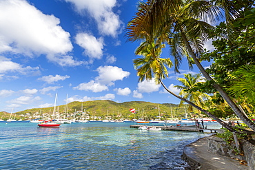 Boats in Port Elizabeth, Admiralty Bay, Bequia, The Grenadines, St. Vincent and the Grenadines, Windward Islands, West Indies, Caribbean, Central America