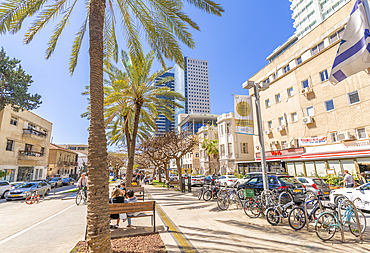 View of palm trees and walkway on Rothschild Boulevard, Tel Aviv, Israel, Middle East