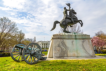 View of the White House and spring blossom in Lafayette Square, Washington D.C., United States of America, North America