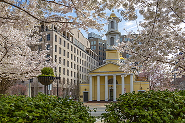 View of the St. John's Episcopal Church and spring blossom, Washington D.C., United States of America, North America