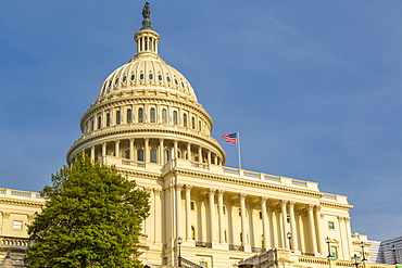 View of the Capitol Building during golden hour, Washington D.C., United States of America, North America