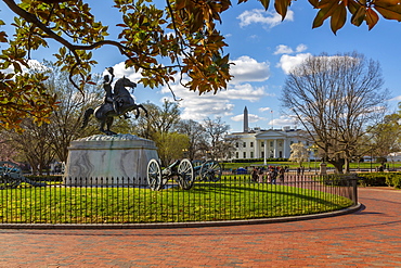 View of The White House and spring blossom in Lafayette Square, Washington D.C., United States of America, North America