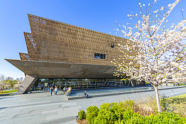 The National Museum of African American History and Culture in spring, Washington D.C., United States of America, North America