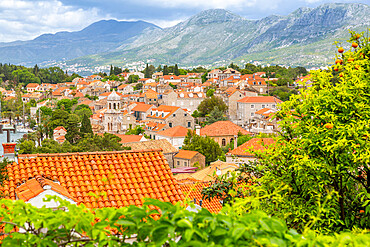 View of town from elevated position, Cavtat on the Adriatic Sea, Cavtat, Dubrovnik Riviera, Croatia, Europe