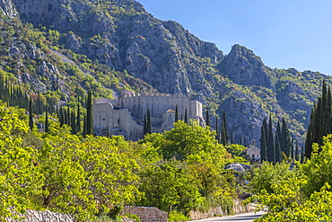 Landscape and scenery and Sokol Tower on a sunny spring day, Dunave, Croatia, Europe