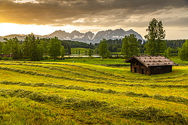 View of the Wilder Kaiser Mountain Range from Schwarzsee near Kitzbuhel, Tyrol, Austria, Europe