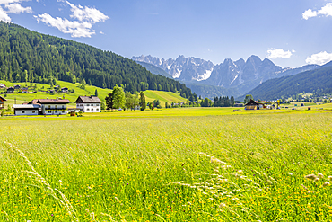 View of countryside from Gosau, Upper Austria region of the Alps, Salzburg, Austria, Europe