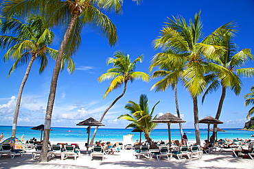 View of Long Bay and beach, Long Bay, Antigua, Leeward Islands, West Indies, Caribbean, Central America