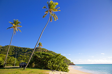 Darkwood Beach, St. Johns, Antigua, Leeward Islands, West Indies, Caribbean, Central America 