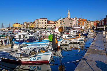 View of harbour and the old town with the Cathedral of St. Euphemia, Rovinj, Istria, Croatia, Adriatic, Europe