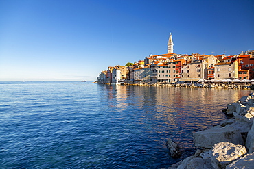 View of harbour and the old town with the Cathedral of St. Euphemia, Rovinj, Istria, Croatia, Adriatic, Europe