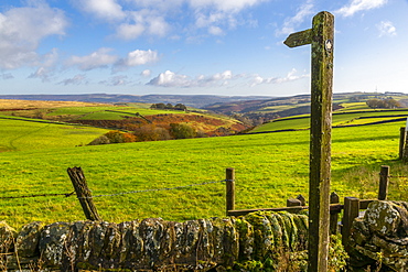 View of autumn colours near Great Hucklow, Derbyshire, Peak District National Park, England, United Kingdom, Europe