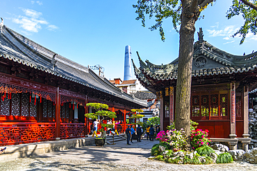 View of traditional and contemporary Chinese architecture in Yu Garden, Shanghai, China, Asia