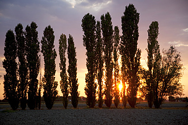 Sunset near Parma, Emilia Romagna, Italy, Europe