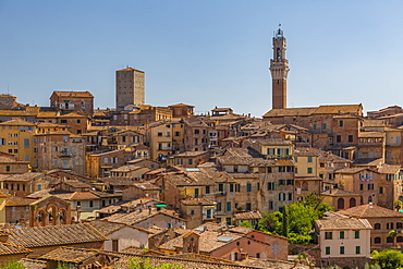 View of city skyline including Campanile of Palazzo Comunale, Siena, Tuscany, Italy, Europe