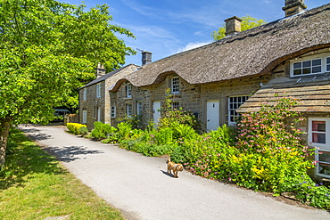 View of thatched cottages in Baslow, Derbyshire Dales, Derbyshire, England, United Kingdom, Europe