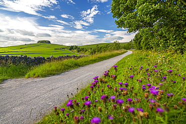 View of the Tissington Trail near Biggin, Ashbourne, Derbyshire, England, United Kingdom, Europe