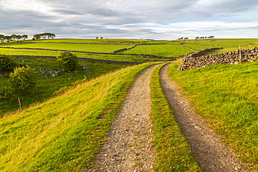 View of track and landscape near Whetton, Tideswell, Peak District National Park, Derbyshire, England, United Kingdom, Europe