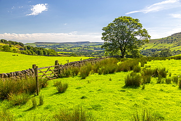 View of countryside near Little Hayfield, High Peak, Derbyshire, England, United Kingdom, Europe