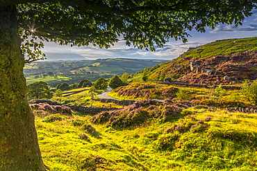 View of Curbar Edge from Baslow Edge, Baslow, Peak District National Park, Derbyshire, England, United Kingdom, Europe