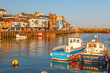 View of harbour boats and harbourside shops in Bridlington Harbour at sunset, Bridlington, East Yorkshire, England, United Kingdom, Europe