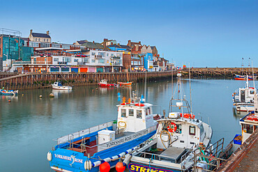 View of harbour boats and harbourside shops in Bridlington Harbour at dusk, Bridlington, East Yorkshire, England, United Kingdom, Europe