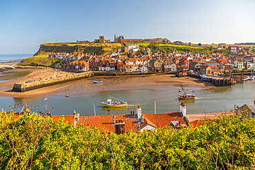 View of Whitby Abbey, St. Mary's Church and Esk riverside houses, Whitby, Yorkshire, England, United Kingdom, Europe