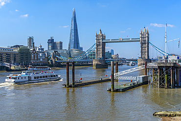 View of Tower Bridge and The Shard with tour boat on the River Thames, London, England, United Kingdom, Europe