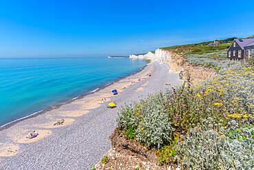 View of Seven Sisters Chalk Cliffs from Birling Gap, South Downs National Park, near Eastbourne, East Sussex, England, United Kingdom, Europe