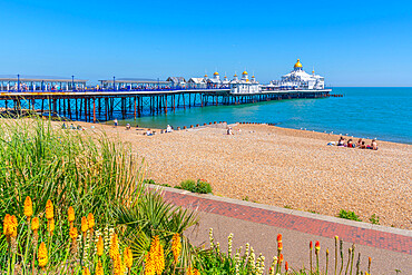 View of flowers, pier and beach in summer time, Eastbourne, East Sussex, England, United Kingdom, Europe