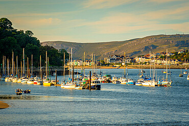 View of boats of the Conwy River in late afternoon, Conwy, Gwynedd, North Wales, United Kingdom, Europe