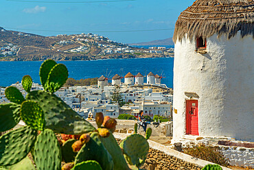 Elevated view of windmills and town, Mykonos Town, Mykonos, Cyclades Islands, Greek Islands, Aegean Sea, Greece, Europe