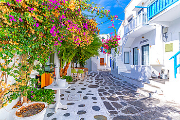 View of whitewashed cobbled street, Mykonos Town, Mykonos, Cyclades Islands, Greek Islands, Aegean Sea, Greece, Europe