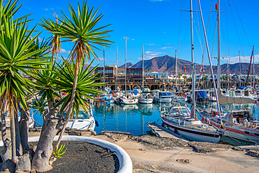 View of boats and the restaurants in Rubicon Marina, Playa Blanca, Lanzarote, Canary Islands, Spain, Atlantic, Europe