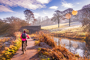 View of cyclist and frosty morning at the Cromford Canal, Derbyshire, England, United Kingdom, Europe