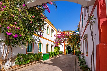 View of colourful buildings and flowers in the old town, Puerto de Mogan, Gran Canaria, Canary Islands, Spain, Atlantic, Europe