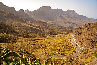 View of road and flora in mountainous landscape near Tasarte, Gran Canaria, Canary Islands, Spain, Atlantic, Europe