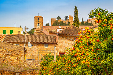 View of orange trees near Performing Arts Theatre in old town Arta, Arta, Majorca, Balearic Islands, Spain, Mediterranean, Europe