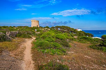 View of Torre de Son Ganxo and lighthouse on Illa de I'Aire, Punta Prima, Menorca, Balearic Islands, Spain, Europe