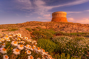 View of Fornelles Tower fortress and spring flowers at sunset in Fornelles, Fornelles, Menorca, Balearic Islands, Spain, Mediterranean, Europe