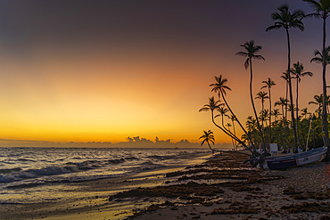 View of sea, beach and palm trees at sunrise, Bavaro Beach, Punta Cana, Dominican Republic, West Indies, Caribbean, Central America