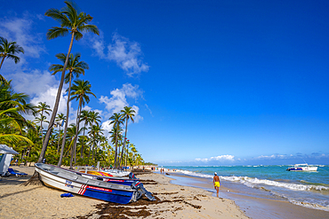 View of sea, beach and palm trees on a sunny day, Bavaro Beach, Punta Cana, Dominican Republic, West Indies, Caribbean, Central America