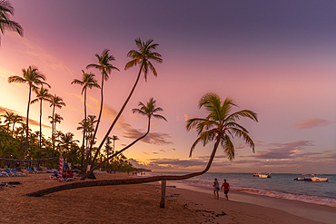 View of palm trees and sea at Bavaro Beach at sunset, Punta Cana, Dominican Republic, West Indies, Caribbean, Central America