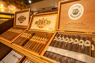 View of cigar boxes in shop near Santo Domingo, Dominican Republic, West Indies, Caribbean, Central America